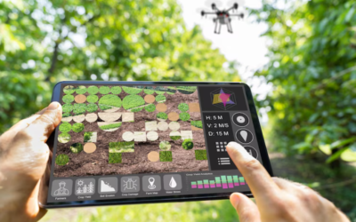 What are Visualization Tools That Land Consulting Firms Use