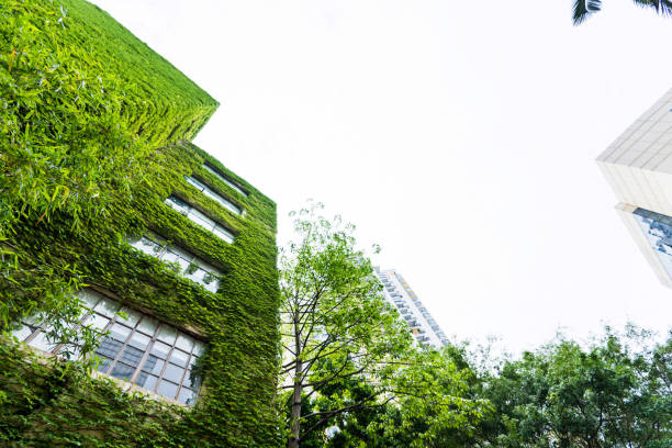 Green plants on wall of apartment building.