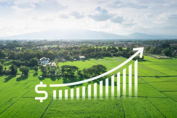 Land value in aerial view consist of landscape of green field or agriculture farm, growth graph of rate market price. That real estate or property for agent, real estate agent, investor and lawyer to owned, sale, rent, buy, purchase, mortgage and investment in Chiang Mai of Thailand. What Are the Four Types of Costs in Real Estate Development?