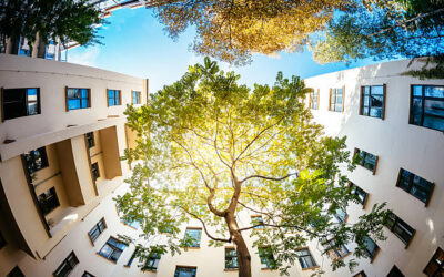 CEQA Exemptions Playbook After AB 130 and SB 131