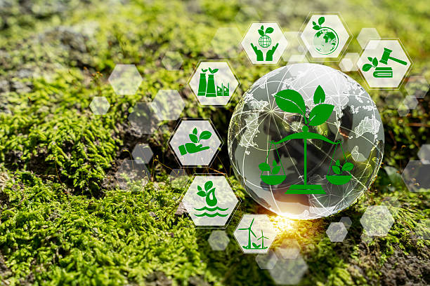Eco-friendly and sustainable development concept with green icons representing renewable energy, clean industry, environmental protection on digital globe over green moss, nature and climate balance.