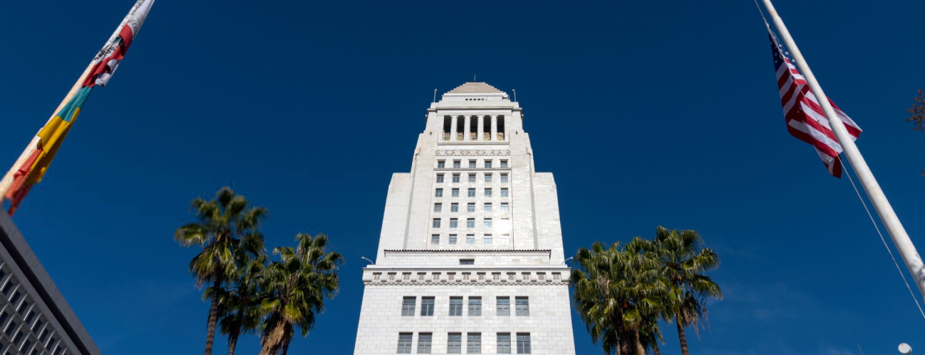 grok-image-ab52af73-db30-483b-82be-a63ed86fc5e0 LA City Council Voted for Housing Development While Leaving Out Single Family Zone