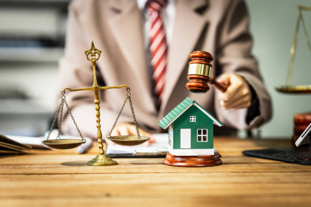A young businesswoman is working at her desk, reviewing contracts and preparing for litigation, while also managing her responsibilities as a homeowner involved in renovation and real estate.