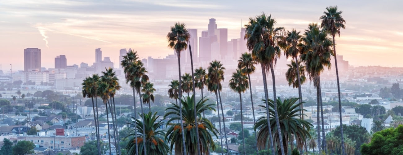 Los Angeles skyline and downtown with palm trees at sunset in Ela Park California United States