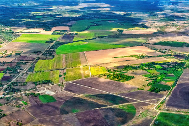 Beauty of agricultural fields