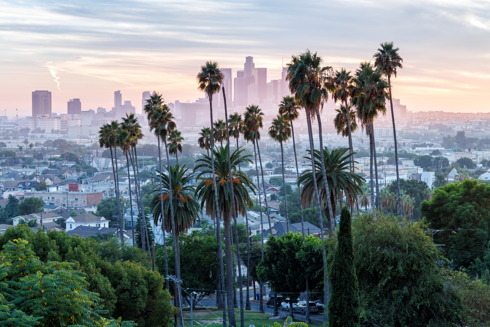 Los Angeles skyline and downtown with palm trees at sunset in Ela Park California United States