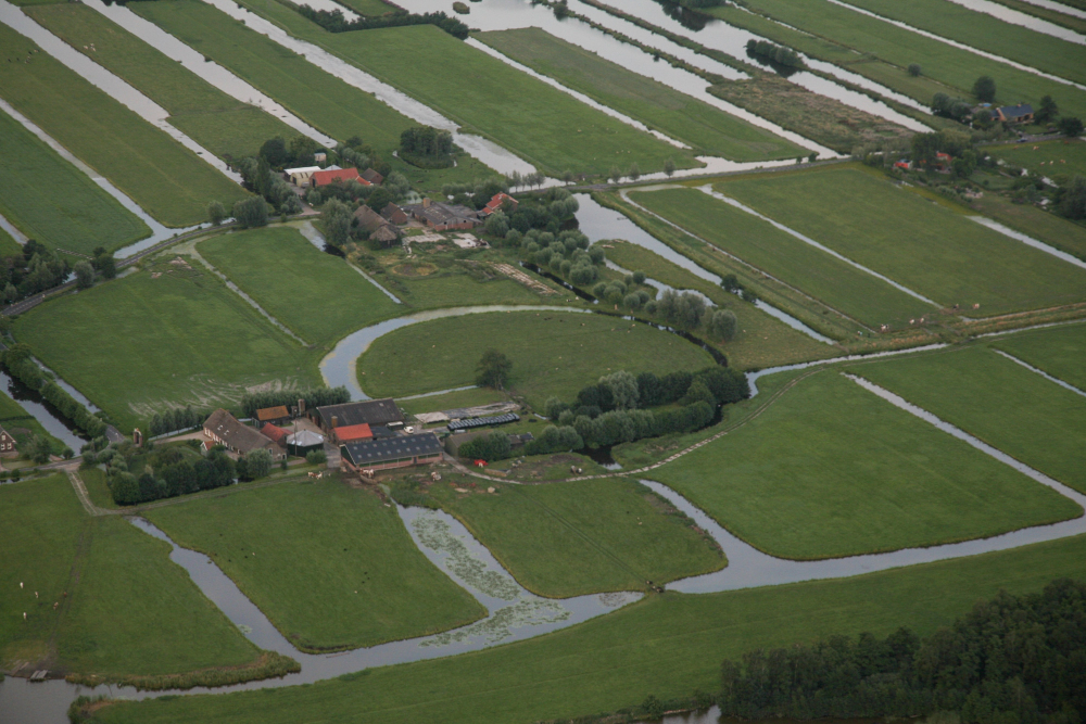 Grassy field with house and trees at dutch polder