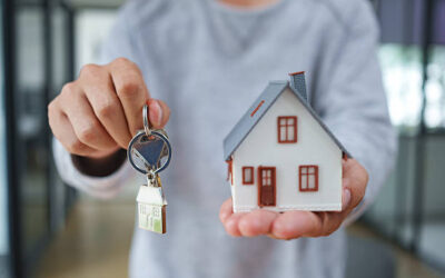 Retail Tenant Improvement Permit Guide 