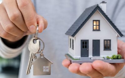 Retail Tenant Improvement Permit Guide 