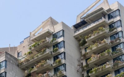 How Austin’s Zoning Shift Changes Development Feasibility